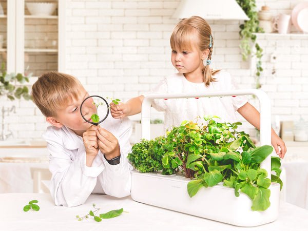 The Smart Garden 9 indoor gardening system | Click & Grow