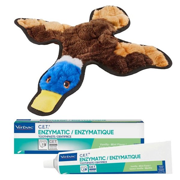 Frisco Flat Plush Squeaking Duck Dog Toy & Virbac C.E.T. Enzymatic Dog & Cat Vanilla-Mint Flavor Toothpaste - Chewy.com