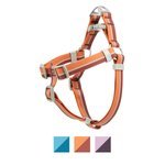 FRISCO Outdoor Two Tone Waterproof Stinkproof PVC Dog Harness, Flamepoint Orange, Small, Neck: 14 to 19-in, Girth: 16 to 23-in - Chewy.com