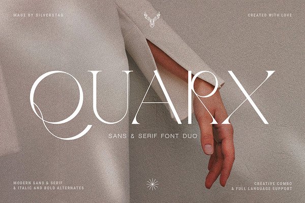 Quarx - Sans & Serif Modern Font Duo | Display Fonts ~ Creative Market