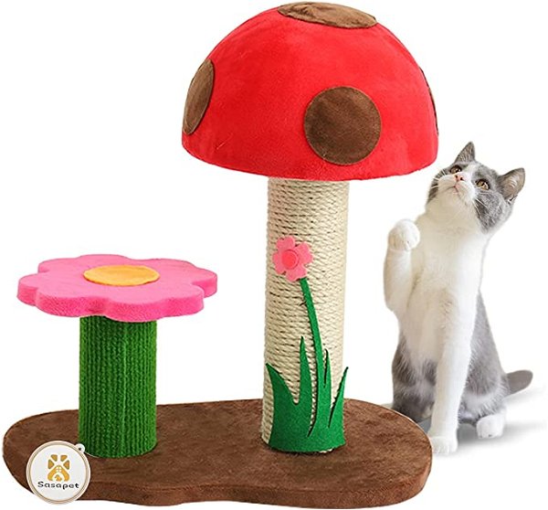 Amazon.com: Sasapet Cat Scratching Post, Mushroom Claw Scratcher Small Cat Tree House Traning Interactive Toys for Indoor Kittens, Cats : Everything Else