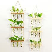 Amazon.com: Wall Hanging Planter Terrarium with Wooden Stand, 3 Tiered Mini Test Tube Flower Vases Retro Hanging Glass Planter Propagator for Hydroponic Plants Cutting Home Office Garden Decor- 9 Test Tubes : Patio, Lawn & Garden