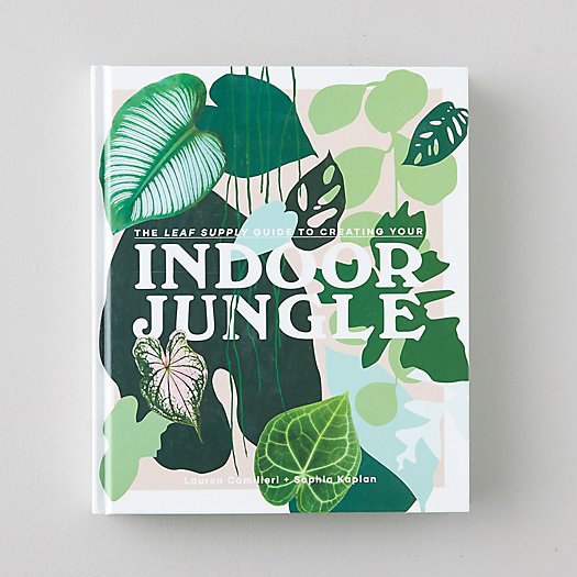 Indoor Jungle - Terrain