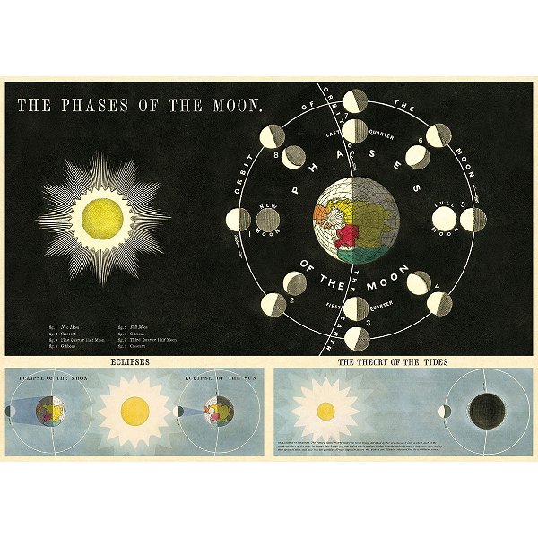 Phases of the Moon Science Vintage Style Poster